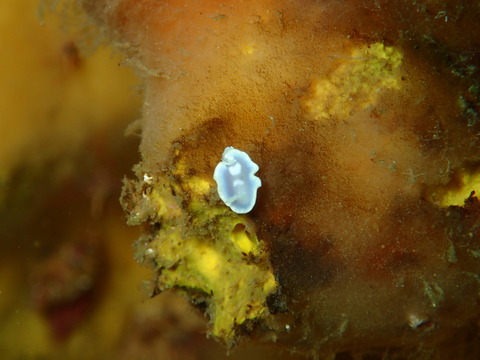 P7220075