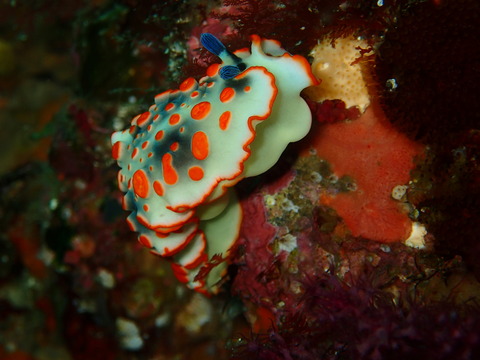 P7220014