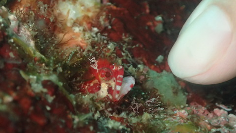 P7180139