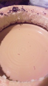d4810f3b.jpg
