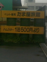 da50ae6e.JPG