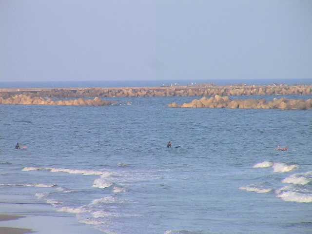 DSC00544