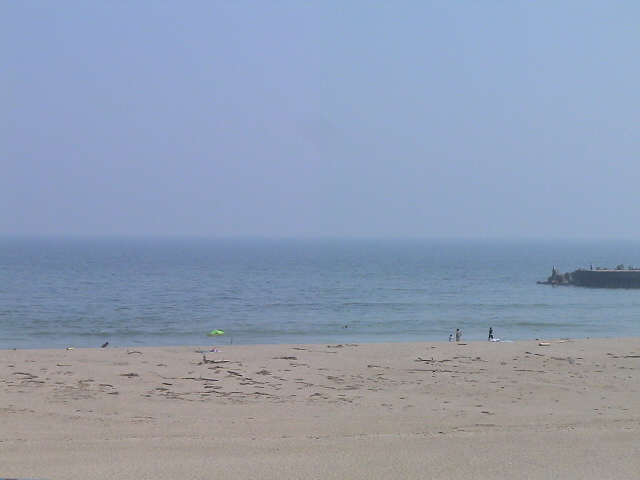 DSC00508