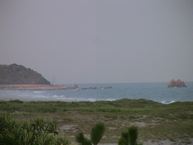 DSC00653