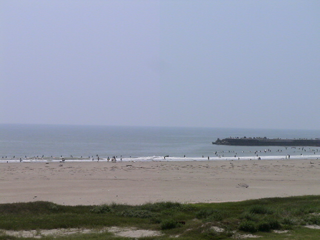 DSC00534