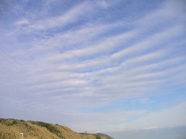 DSC07958