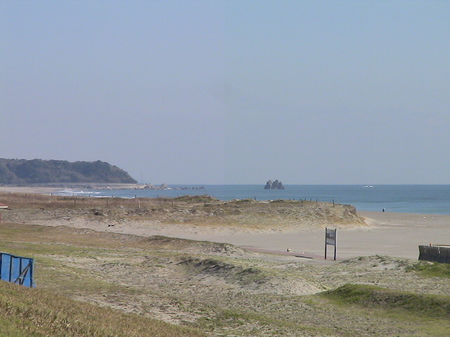 DSC07980