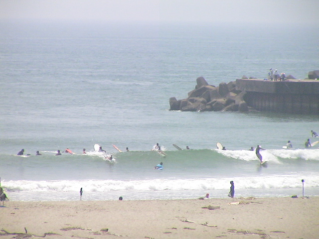 DSC00528