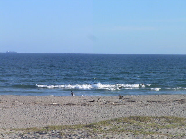 DSC00562
