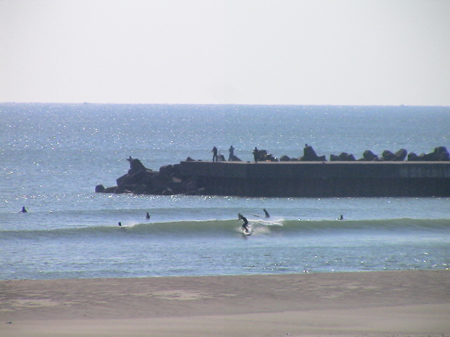 DSC07991