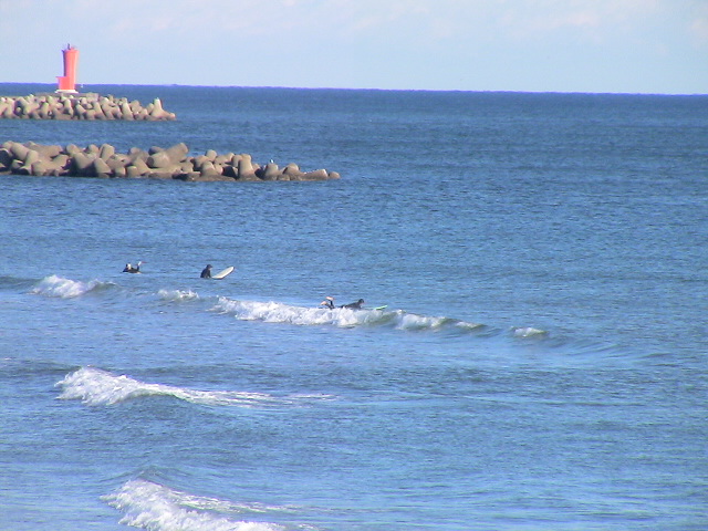 DSC07931