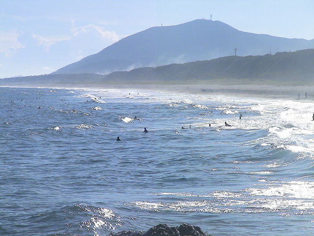 DSC00558