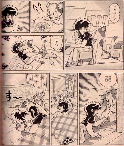 photo_12
