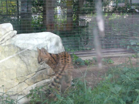 photo_1088