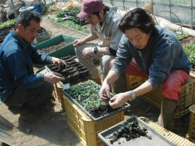 20120413155541_2_3