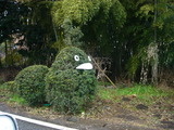 P1000182