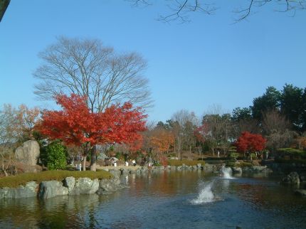 158b62b9.jpg
