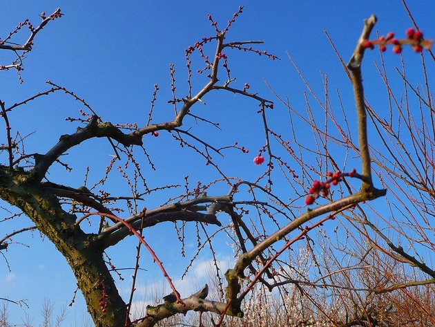 P1070938-s