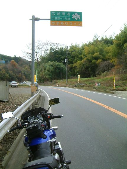 47228198.jpg
