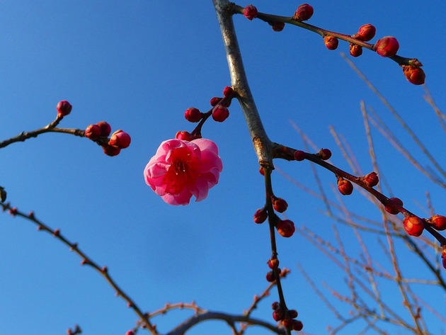 P1070939-s