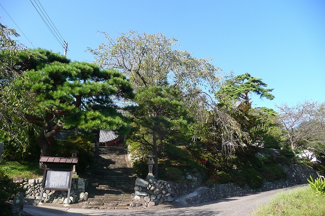 4f5d625f.jpg