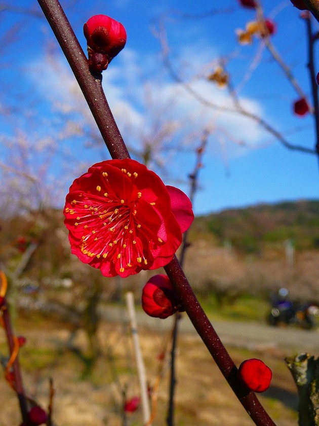 P1070936-s