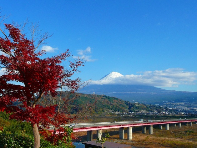 P1070565-s