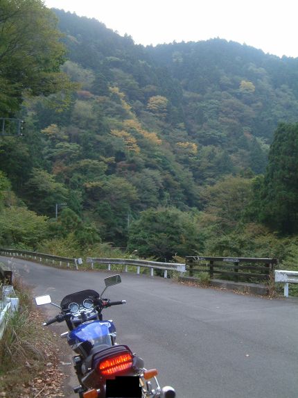 b29d71f0.jpg