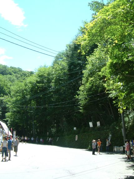 d0471e73.jpg