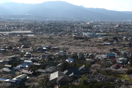 f00c0924.jpg