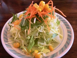 20120206005