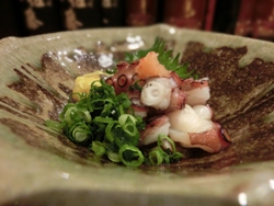 20120205019
