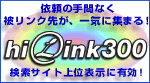 Hi-Link300