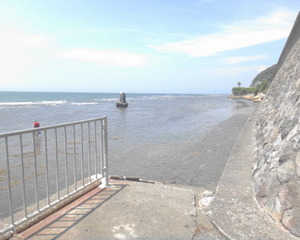 DSC01958