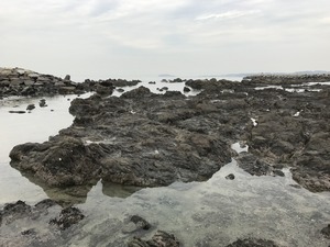 IMG_2398