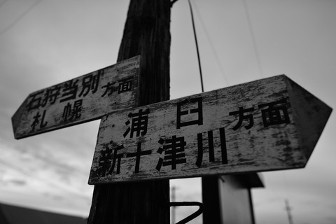 ND4_7437