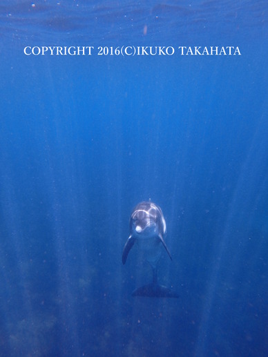 P7070526