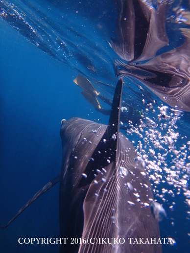 P7070564