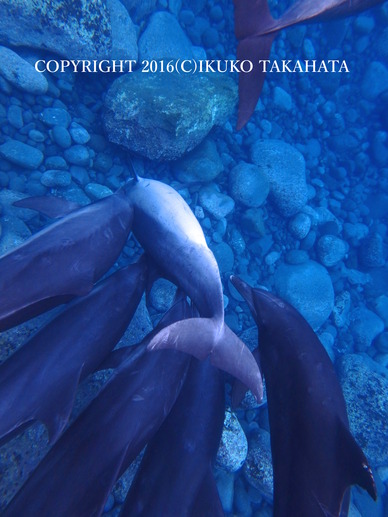 P9050679