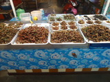 DSC00379