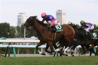 クイーンステークス・新潟競馬全レース予想