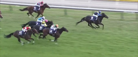 天皇賞・秋 出走馬紹介!!〜週末の注目馬など〜