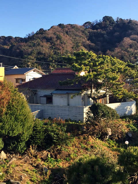 hayama07