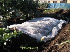 DSCN4277