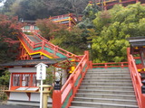 DSCN0339