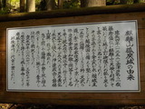 DSCN0204