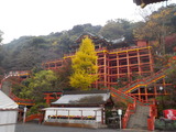 DSCN0333