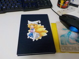 DSCN0365