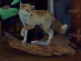 DSCN0225