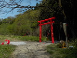DSCN0203